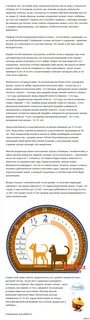 Как определить возраст жизни человека