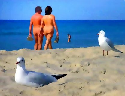 File:Möwen und Menschen am Strand des FKK-Dorfs Euronat (grafischen Bearbei...