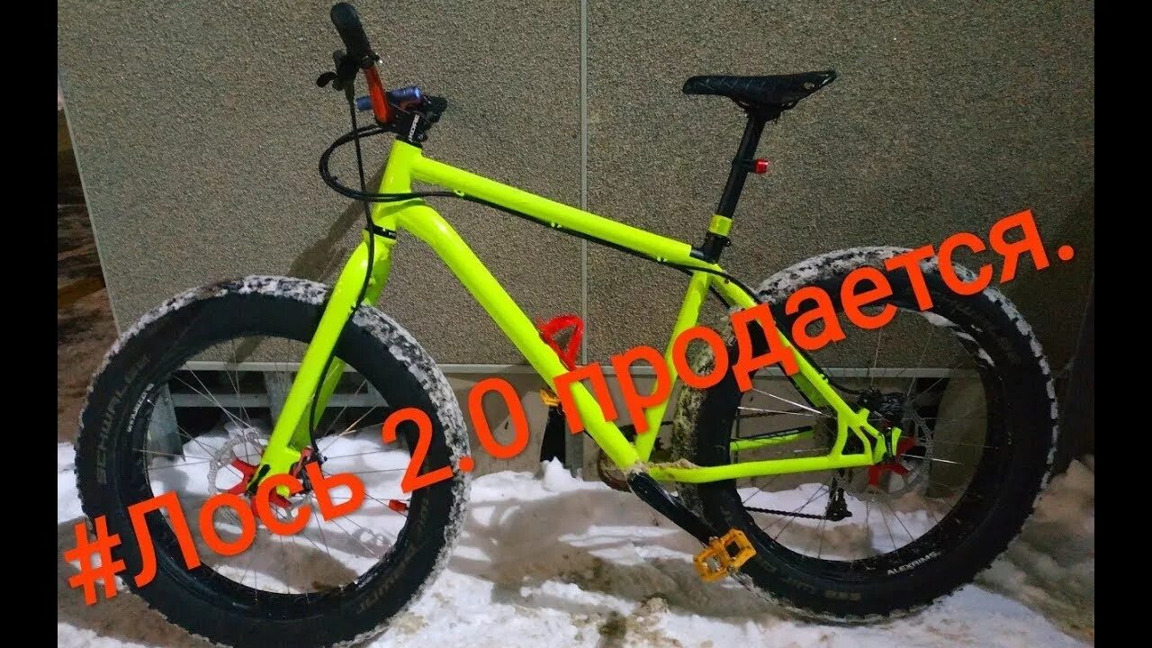 Вело лось. Фэтбайк Mongoose Argus Comp 2019. Мангуст Аргус 2019. Фэтбайк Mongoose Argus Sport втулка. Mongoose Argus Comp 2021.