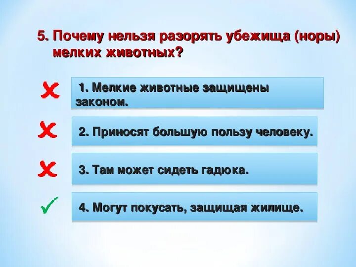 Обж встреча с дикими животными 8 класс. Правила поведения при встрече с дикими животными. правила поведения при встрече с дикими животными обж. почему не следует разорять убежища норы мелких диких животных. почему нельзя разорять убежища мелких животных.