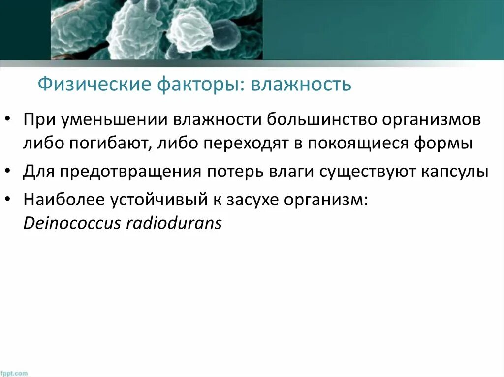 Химические абиотические факторы. Физические факторы движущиеся машины и механизмы. Физические факторы. Физические факторы влажность. Физические факторы воздействия.