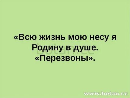 Несу родину