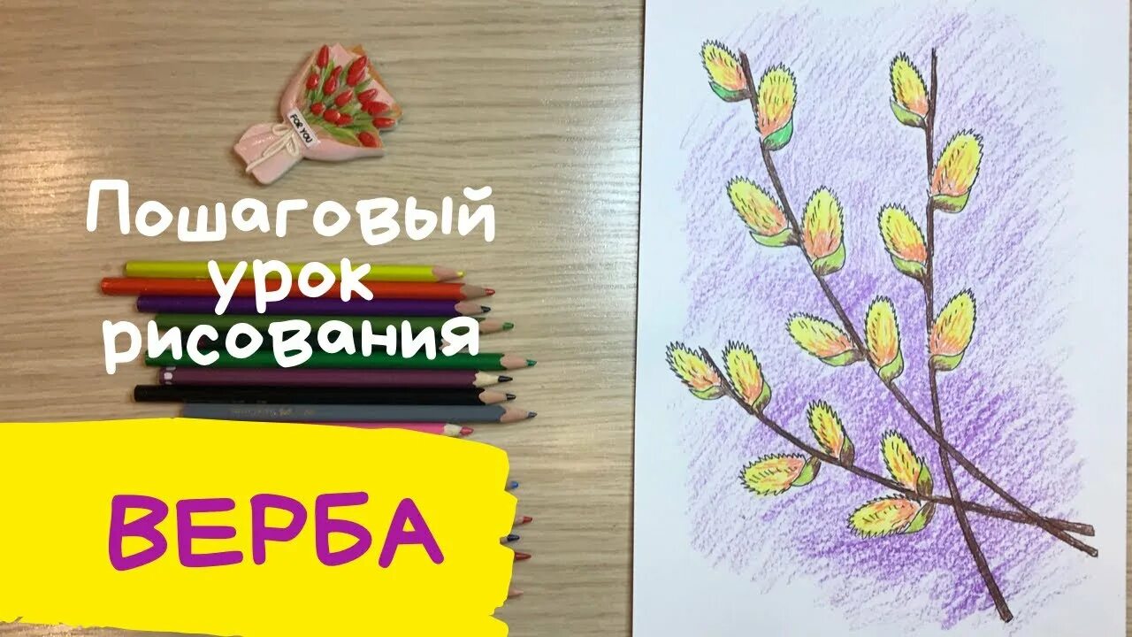 Верба рисунок для детей. Рисование Верба. Веточка рисунок. Рисование вербы простым карандашом.