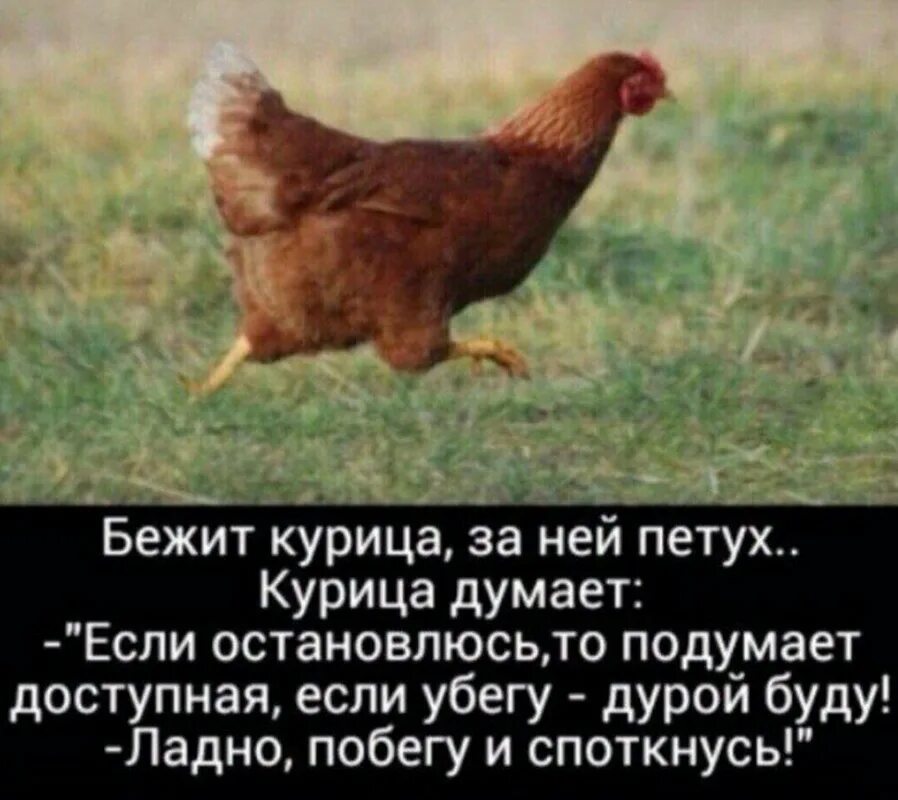 Курицу есть мужчинам