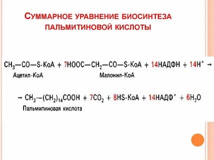 Уравнение синтеза