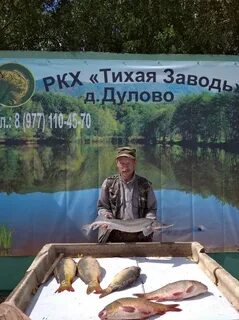 Рыбалка тихая заводь