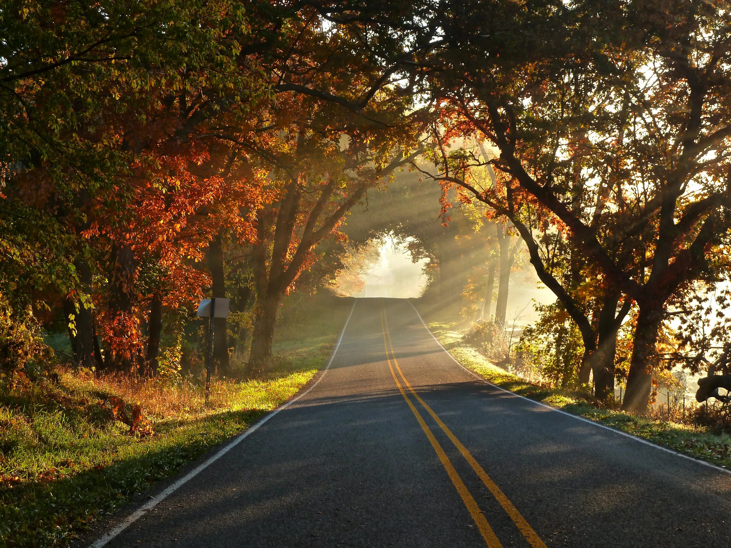 County roads. Осенняя дорога. Пейзаж с дорогой. Дорога в осень.