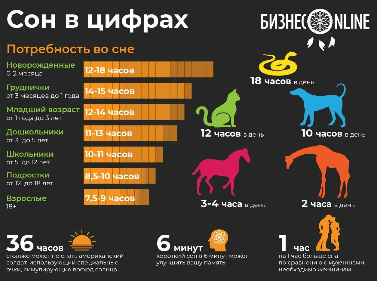 Сколько часов в сутки спят. Всемирный день сна. всемирный день сна 2025. всемирный день сна 2025. сколько часов спят животные.