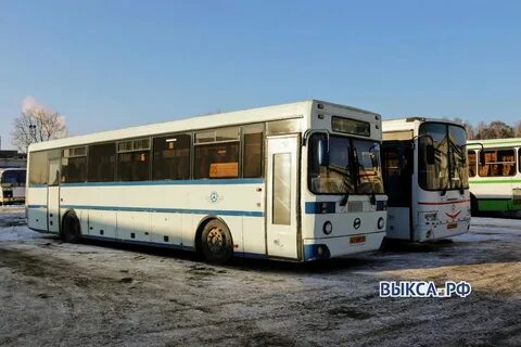 Расписание автобусов выкса шиморское на сегодня 2024