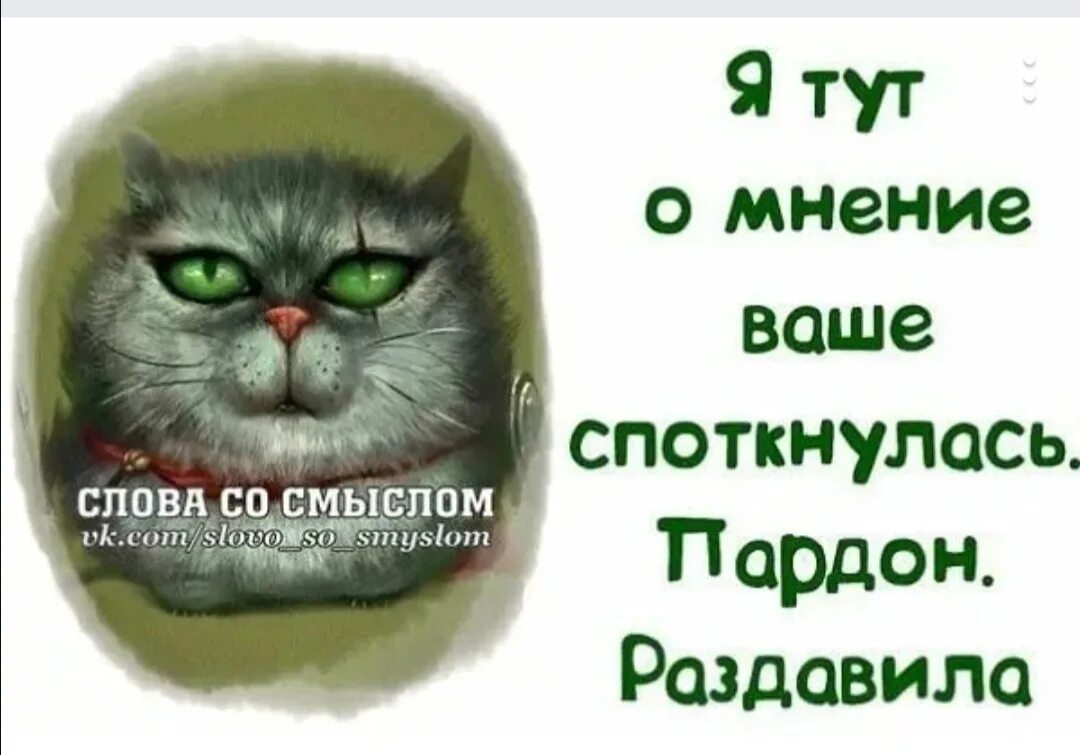 Веселые статусы. Прикольные статусы для Ватса. Статусы смешные со смыслом для ватсапа. Прикольные статусы для ватсапа. Картинки для статуса со смыслом в whatsapp