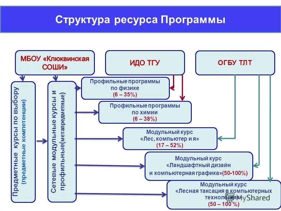 Профильная программа школы