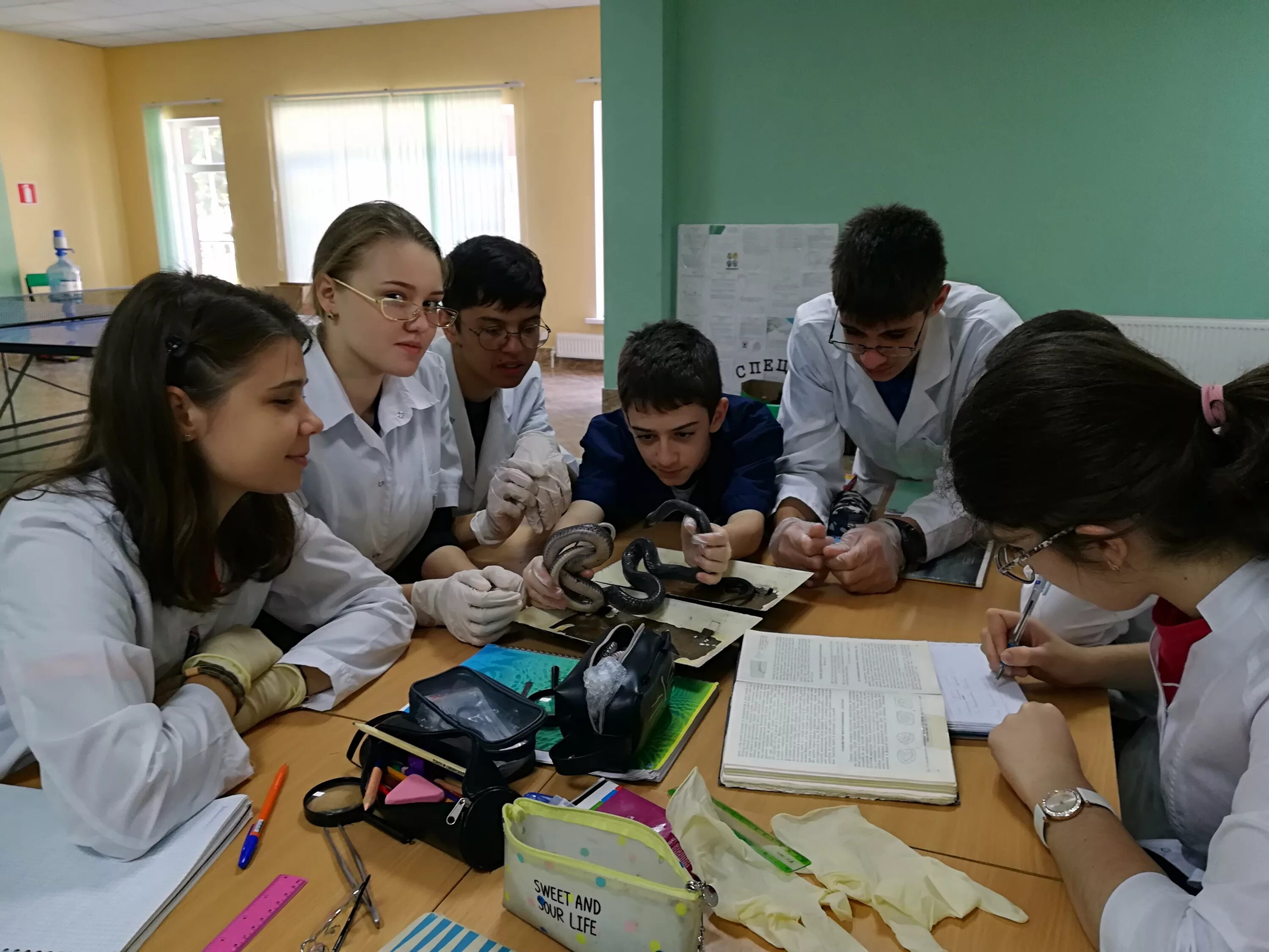 республика адыгея наука и образование. министерство культуры республики адыгея логотип. система профессионально-технического обучения. адыгея экзамен. адыгея флаг и герб.