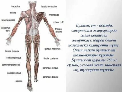 Джулия Ванг порно фотосуреттер