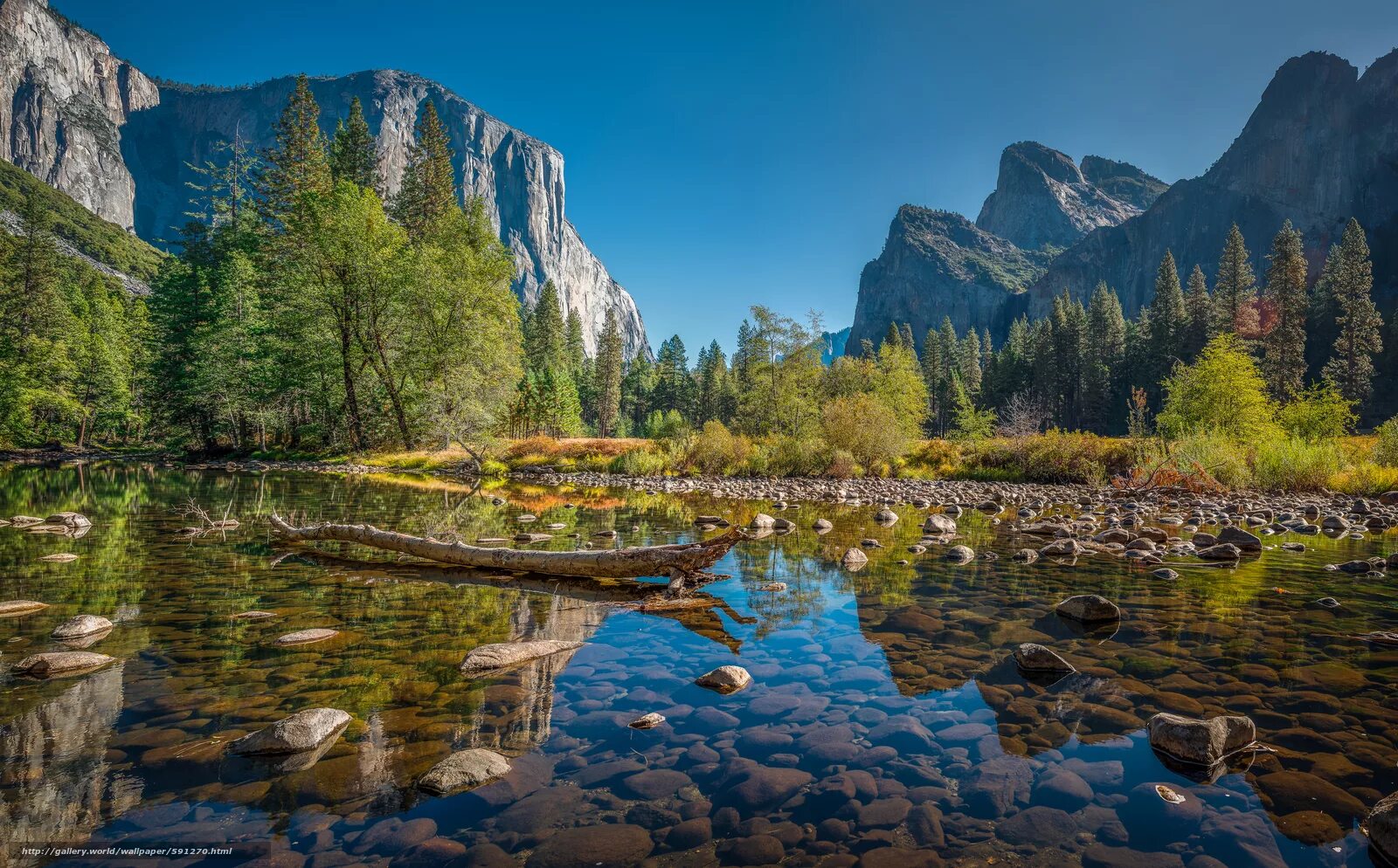 National park usa. Йосемити национальный парк. Парк Йосемити Калифорния. Национальный Йосемитский парк в Северной Америки. Йосемити Ергаки.