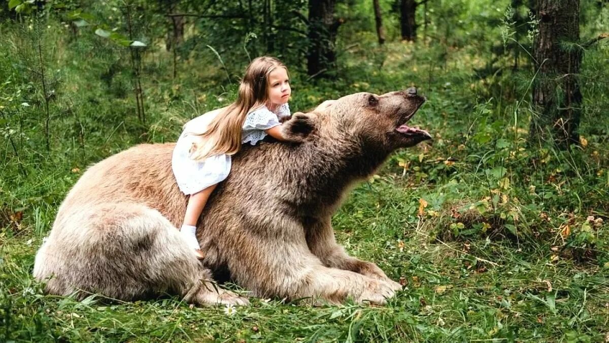 Девочка и медведь. Team russia masha