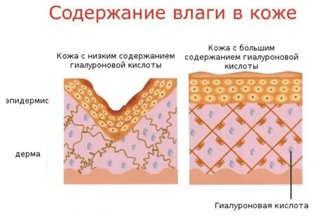 Как действует ее