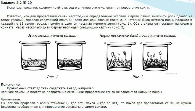 По результатам экспериментов известно. Известно что для прорастания семян необходимы определенные. Условия влияющие на прорастание семян рисунок. Эксперименты по биологии в ВПР. Известно что для прорастания семян необходимы определенные условия.