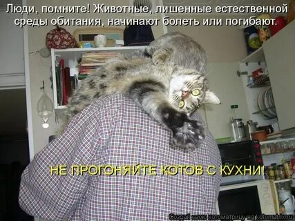 Помни животных