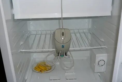 Мышь в холодильнике