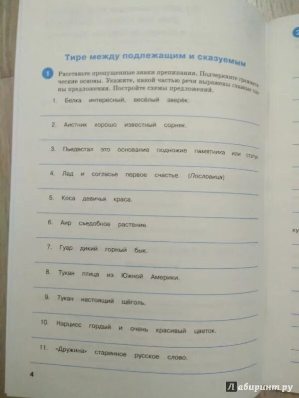 Тренажер пунктуации. Тренажёр по русскому языку 8 класс пунктуация. Тренажер по русскому языку пунктуация 8 класс Александрова. Русский язык 6 класс тренажер пунктуация. Тренажер александрова 6