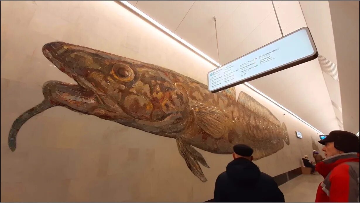 Кто кроме рыб плавает на станции бкл. Рыбы на станции Нагатинский Затон. Нагатинский Затон станция метро рыбы. Нагатинский Затон станция БКЛ рыбы. Станция метро с рыбами.