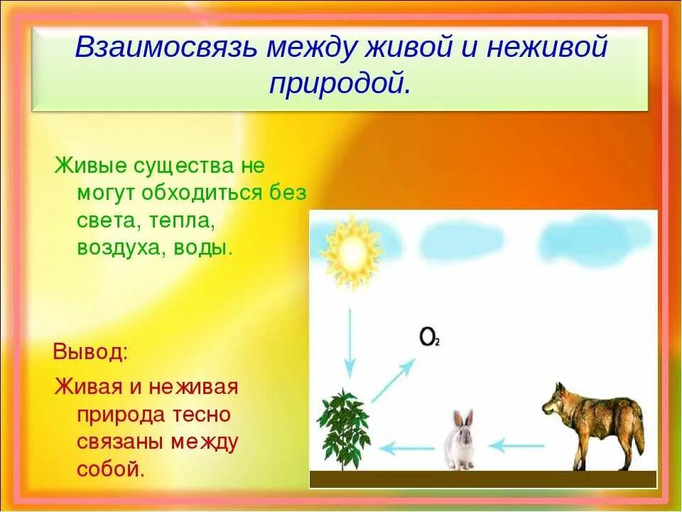 Природные связи между объектами. Схема связи живой и неживой природы 2. Схема живой и неживой природы 2 класс окружающий мир. Связь живой и неживой природы 2 класс окружающий мир. Схема связи живой и неживой природы 2 класс окружающий мир.