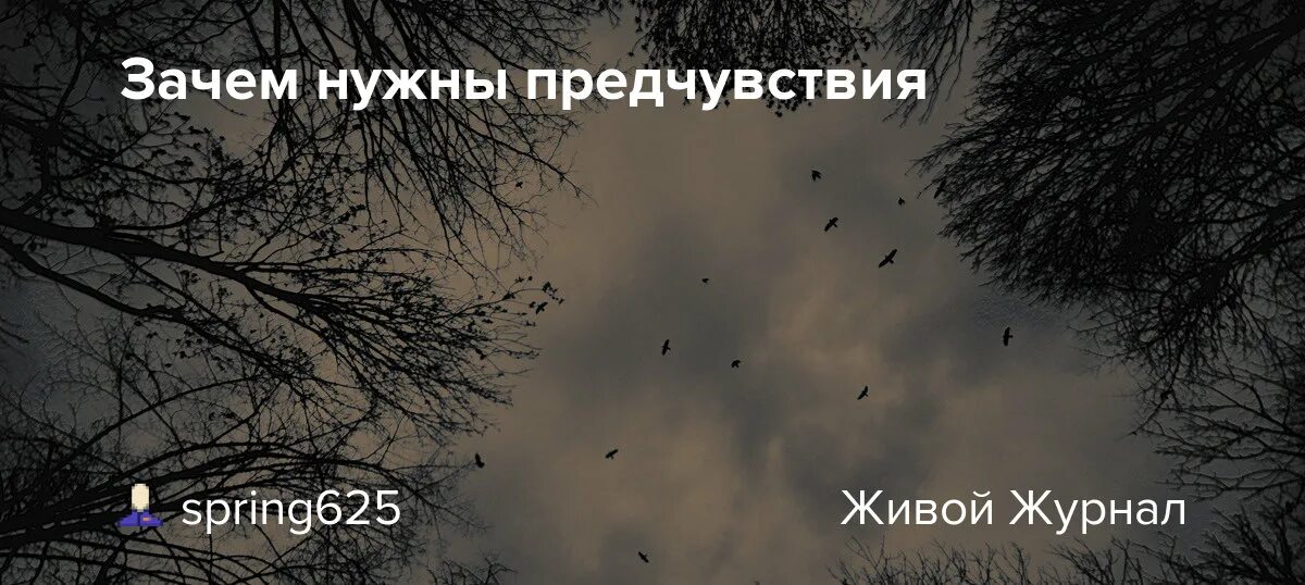 Странное предчувствие. Предчувствие цитаты. Плохое предчувствие. Предчувствие прикол. Предчувствия неприятную встречу