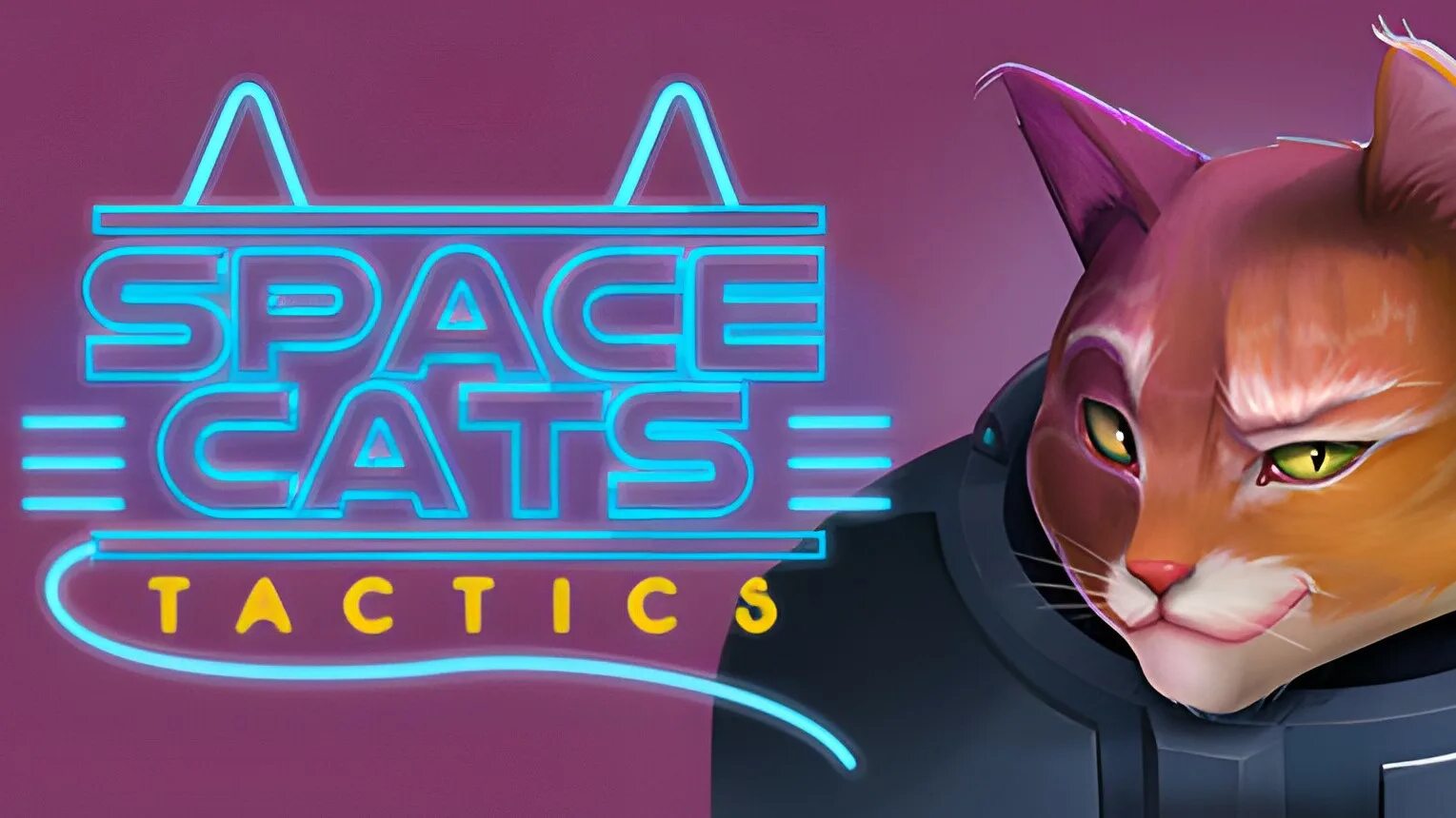 Space Cat game. Игра управлять кошкой. Space Cats Tactics. Лазер игры для игры с кошкой. Space tactics