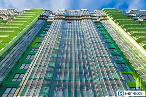 Кактус комендантский просп 28 корп 1 отзывы