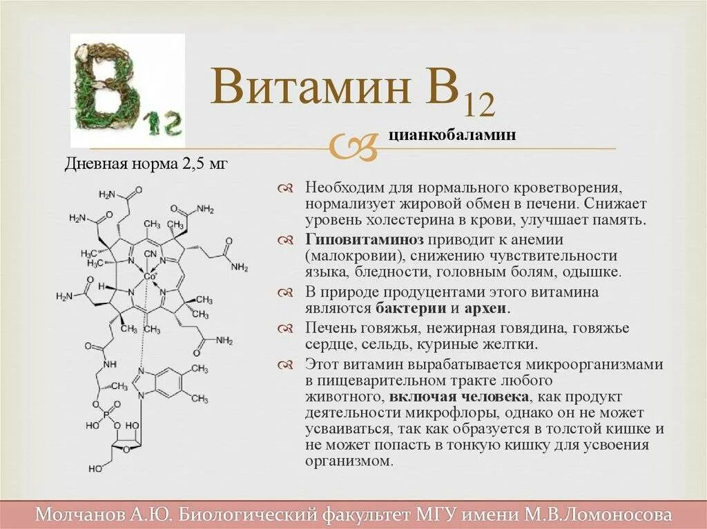 Витамин в3 в6 в9 в12. Витамин б12 АМЛ. Биологическая роль витамина витамин в12. Витамин б12 строение. Витамин в12 после 60 лет