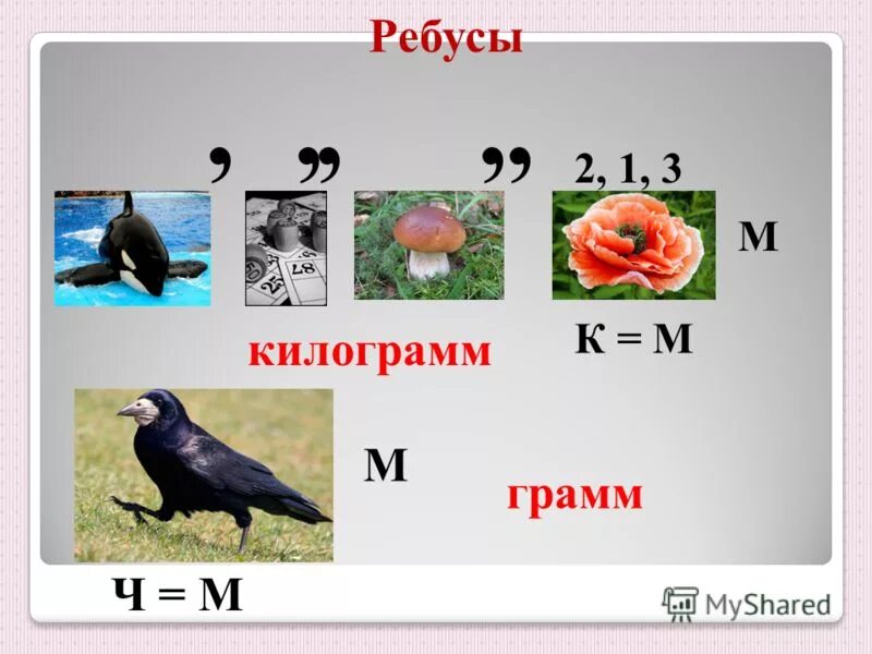 Ребус о да. Зиида ребус. 0 Да ребус. Ребус да и часы. Урок единицы массы 3 класс школа россии