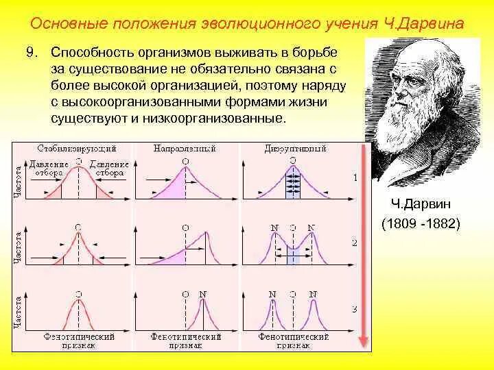 Основные положения эволюционного учения Дарвина. Основные положения теории эволюции Дарвина. Основные положения эволюционной теории ч Дарвина. Способность организмов выживать в борьбе за существование. Одновременно почему о