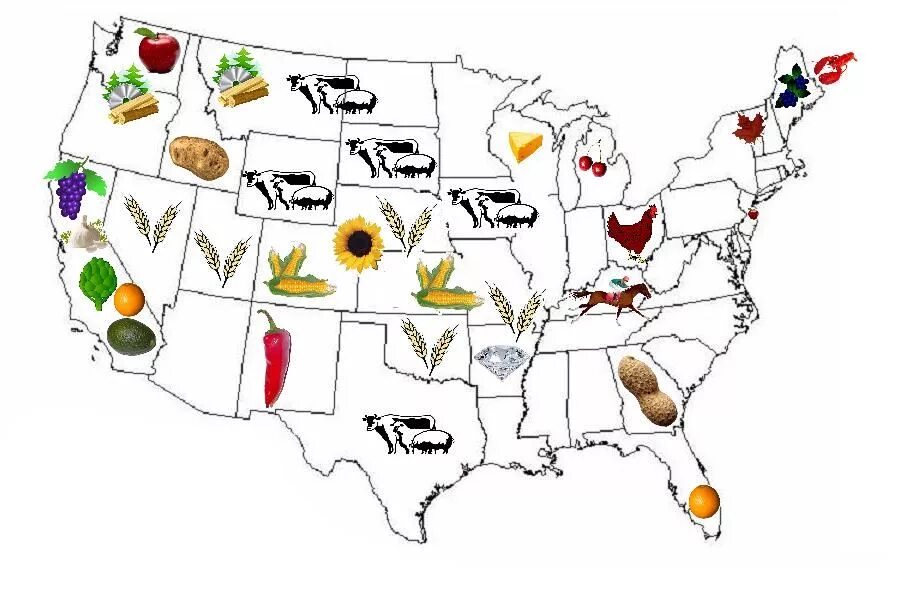 Промышленность стран северной америки. Сельское хозяйство США карта. Сельскохозяйственные штаты США на карте. Сельскохозяйственные пояса США на карте. Пояса сельского хозяйства США.