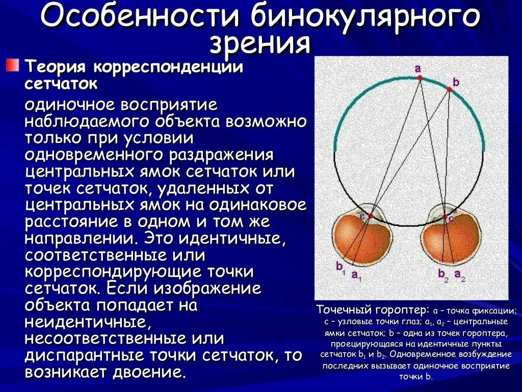 Бинокулярное зрение особенности