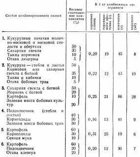 Силос множественное число