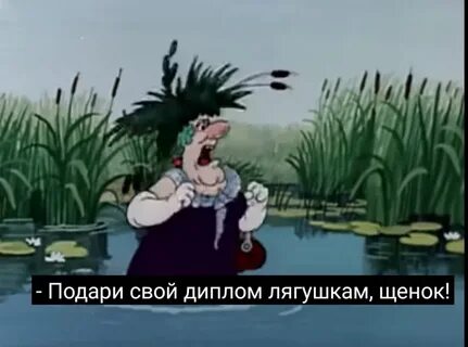 Подарил свой лягушкам щенок