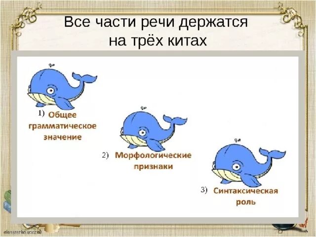 3 кита про кита. Три кита. Три кита русского языка. Три кита части речи в русском. 3 Кита в русском языке.
