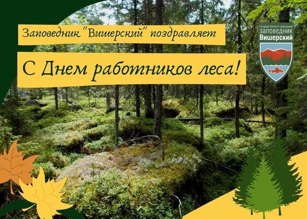 15 сентября день работников леса. С днем работника леса. вишерский заповедник леса. картинки ко дню работников заповедного леса. день работников леса нягань.
