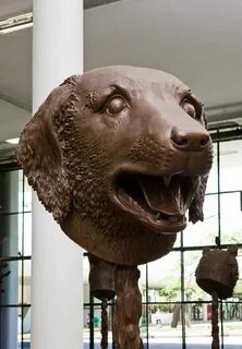 Ай голов