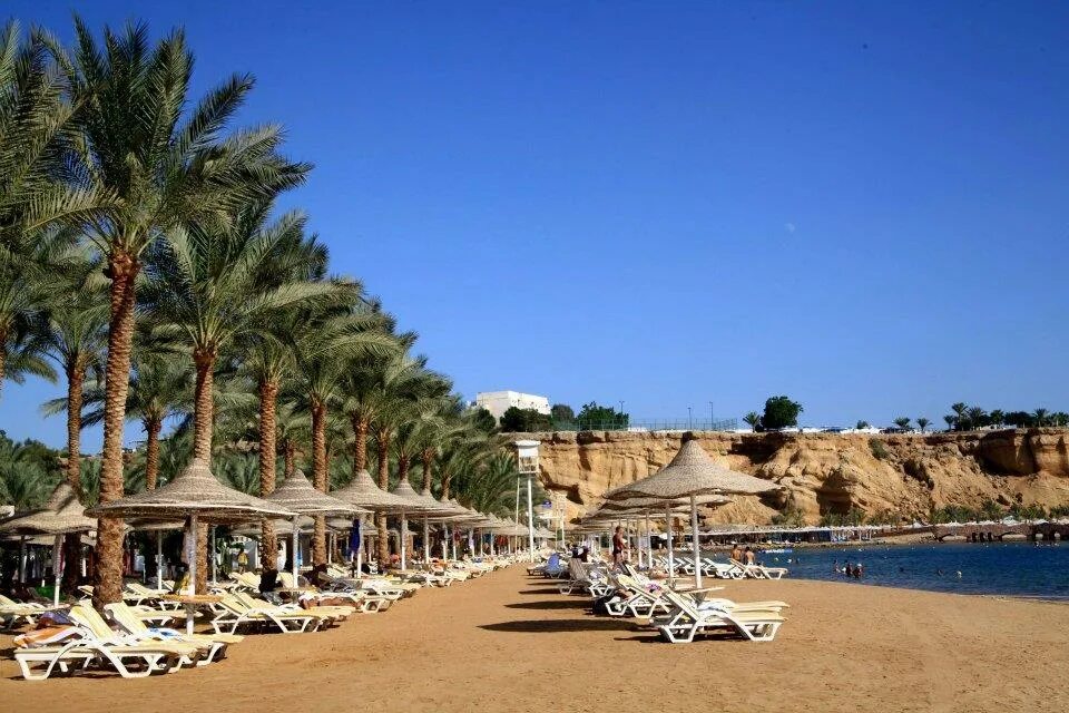 Отель Dessole Seti Sharm Resort 4. Сети Шарм Палм Бич Резорт Шарм-Эль-Шейх. Египет Шарм-Эль-Шейх отель дессоле сети Шарм Резорт 4. Fun Sun Smart Seti Sharm 4 Египет.