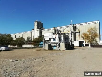 Элеваторы краснодарского