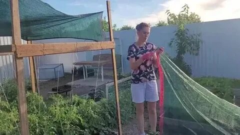 Где соседи село