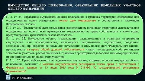 Допускает ли закон