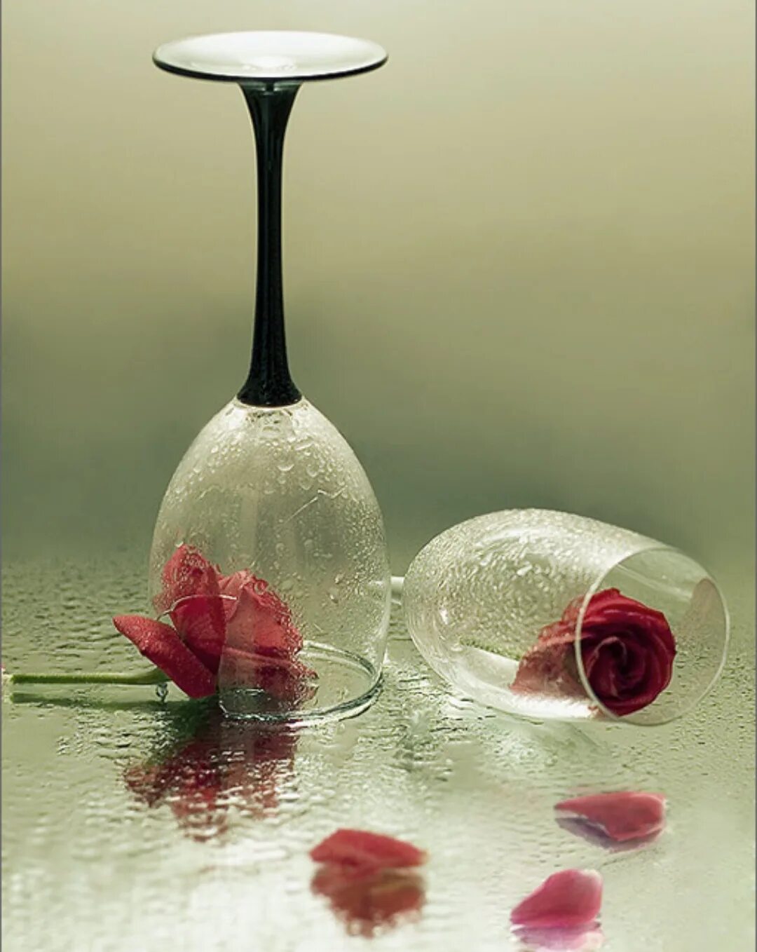 Разбитый стакан. Разбитый стакан. Разбитая стеклянная посуда. Разбитая посуда эстетика. Разбить пустой бокал.