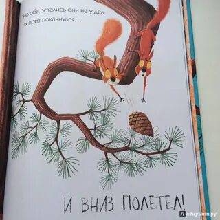 Книга белка