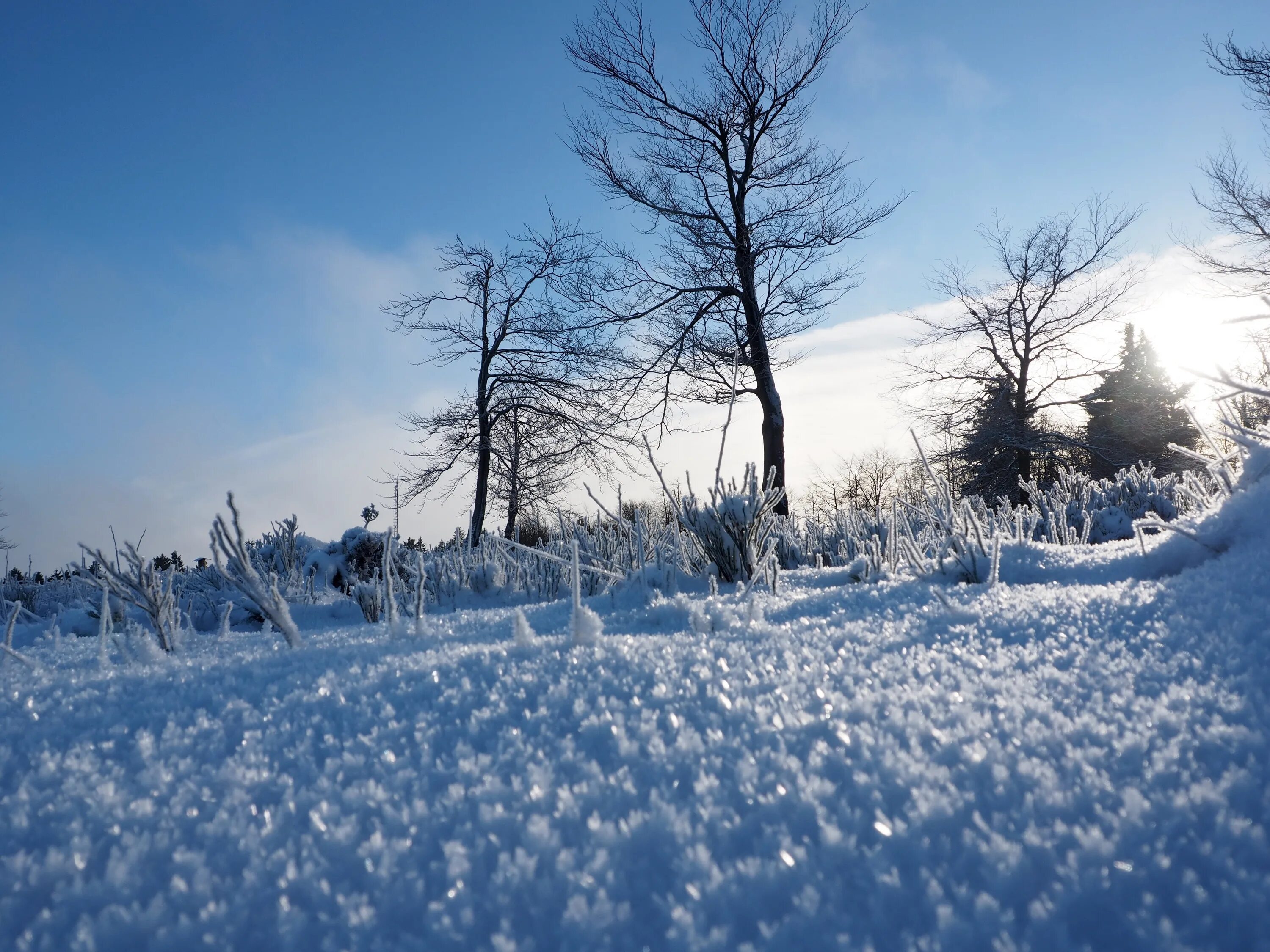 Холодная зима. Зимушка зима. Холодная Снежная зима. Красота зимы фото. Cold and snowy