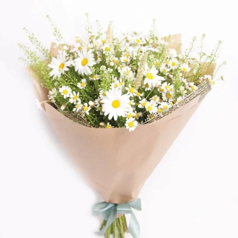 Букет ромашек. Маленький букет ромашек. Букет «ромашковый рай». Букет из ромашек. Маленький букет из ромашек.