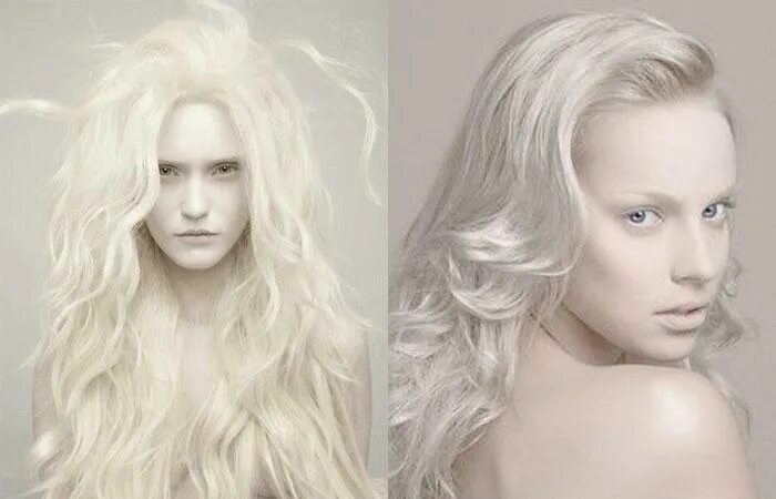Белые волосы какую краску. Чисто белый цвет волос. Холодный белый волосы. Белый цвет волос разные оттенки. Холодный белый цвет волос у женщин.