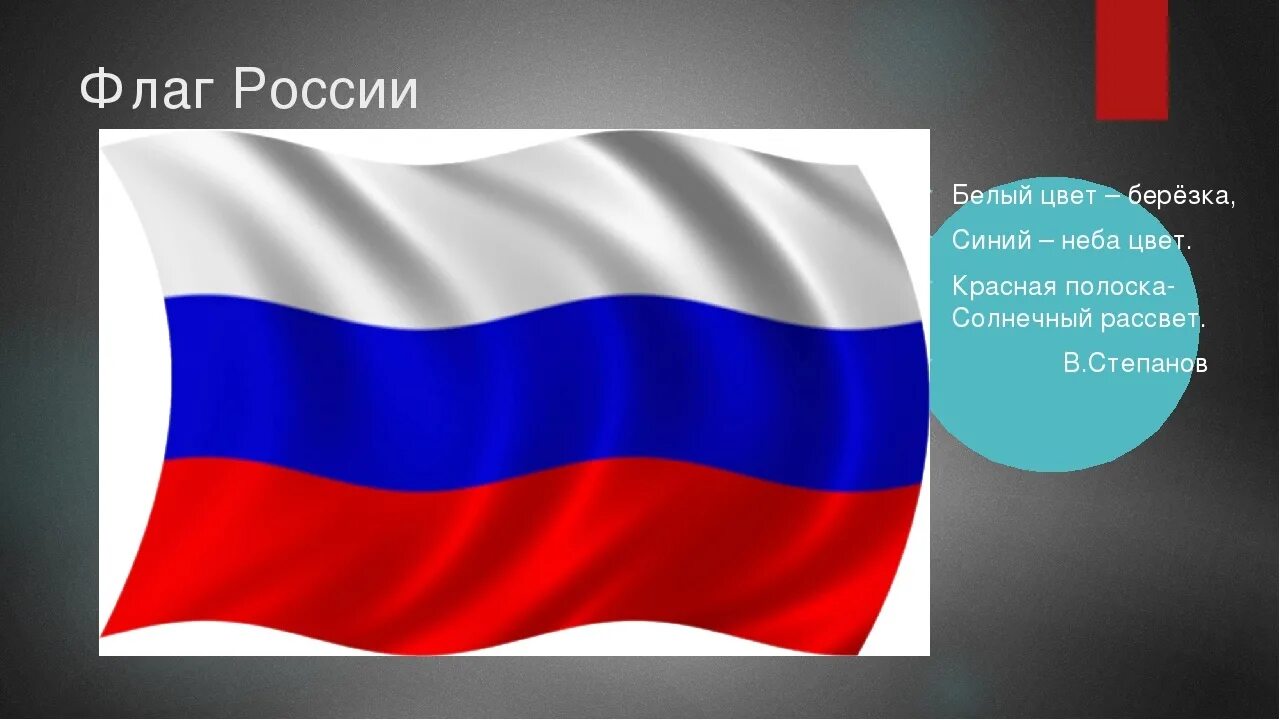 Флаг России. Белый цвет Березка синий неба цвет красная. Родина российского триколора. Стихотворение про флаг России. Про флажку