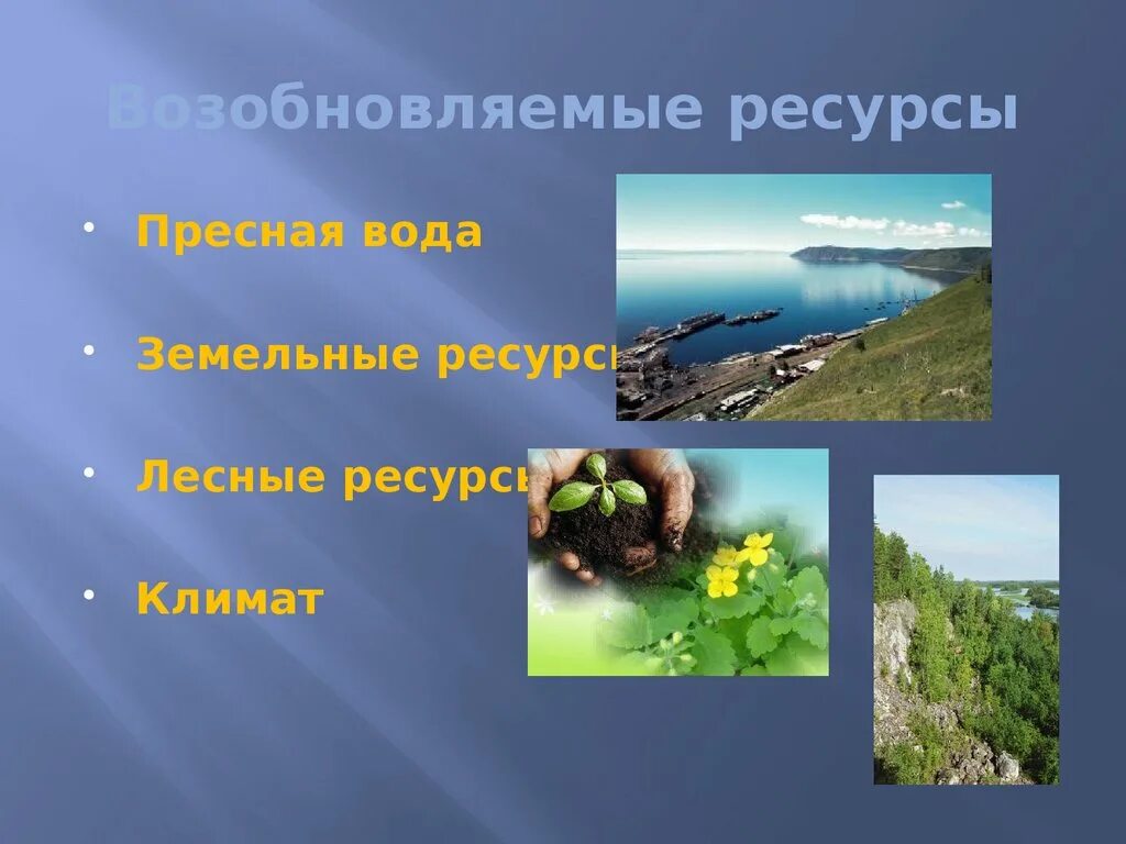 Причина возобновляемости природных ресурсов. Возобновляемые природные ресурсы. Возобновляемые Лесные ресурсы. Ресурсы возобновляемые для детей. Возобновимые природные ресурс.